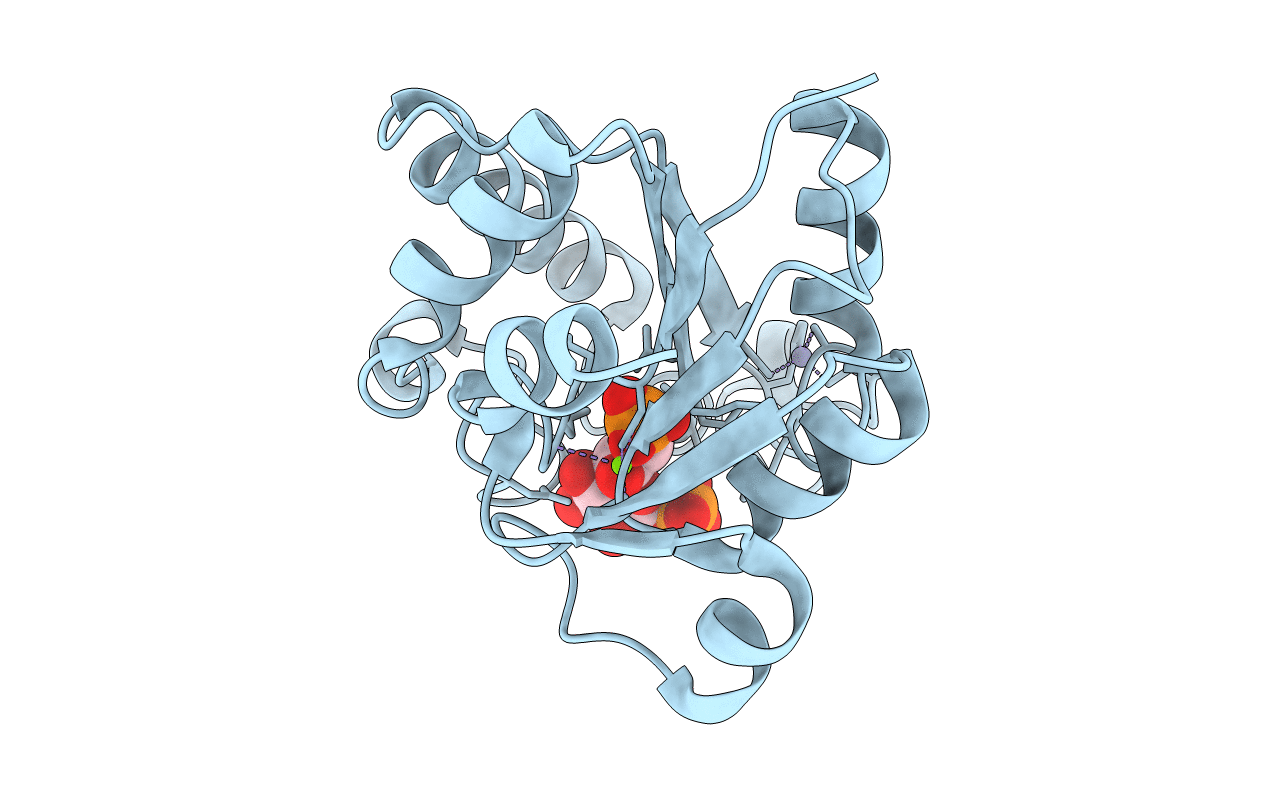 3L8G image