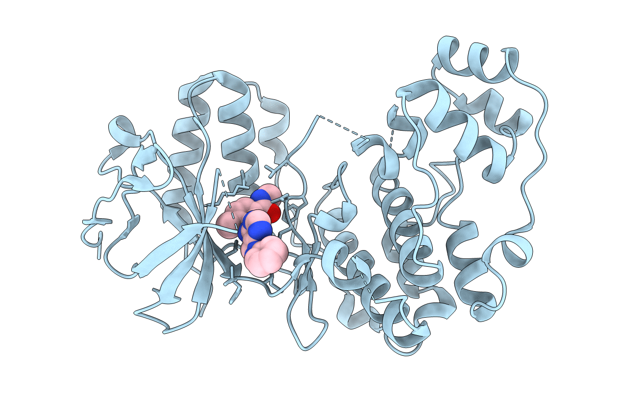 3L8X image