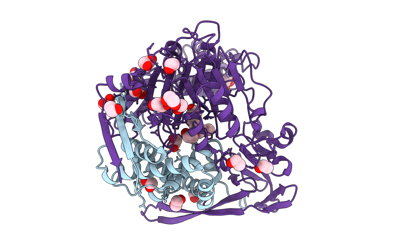 3L91 image