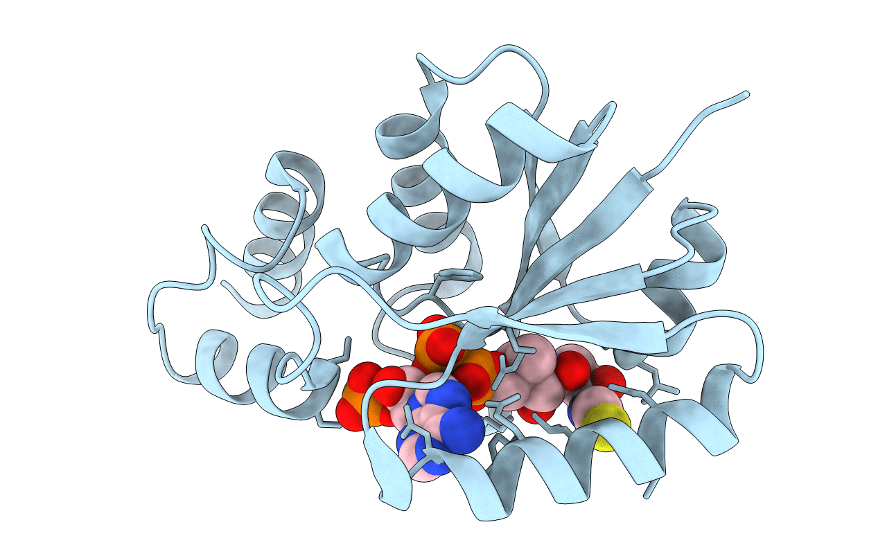 3L92 image
