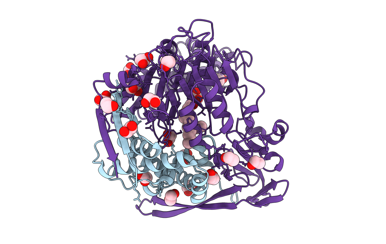 3L94 image