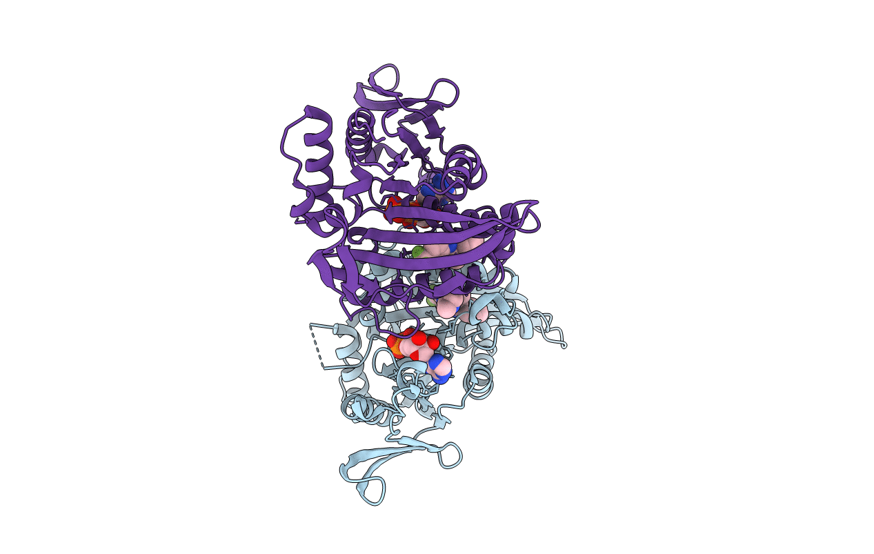 3L9H image