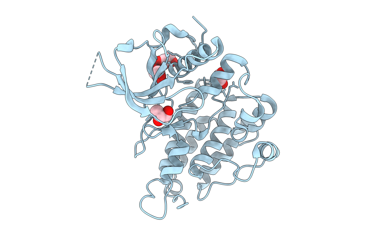 3L9P image