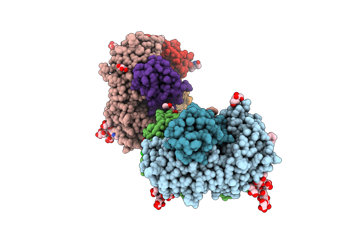 3L9R image