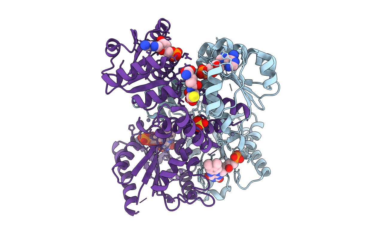 3L9W image