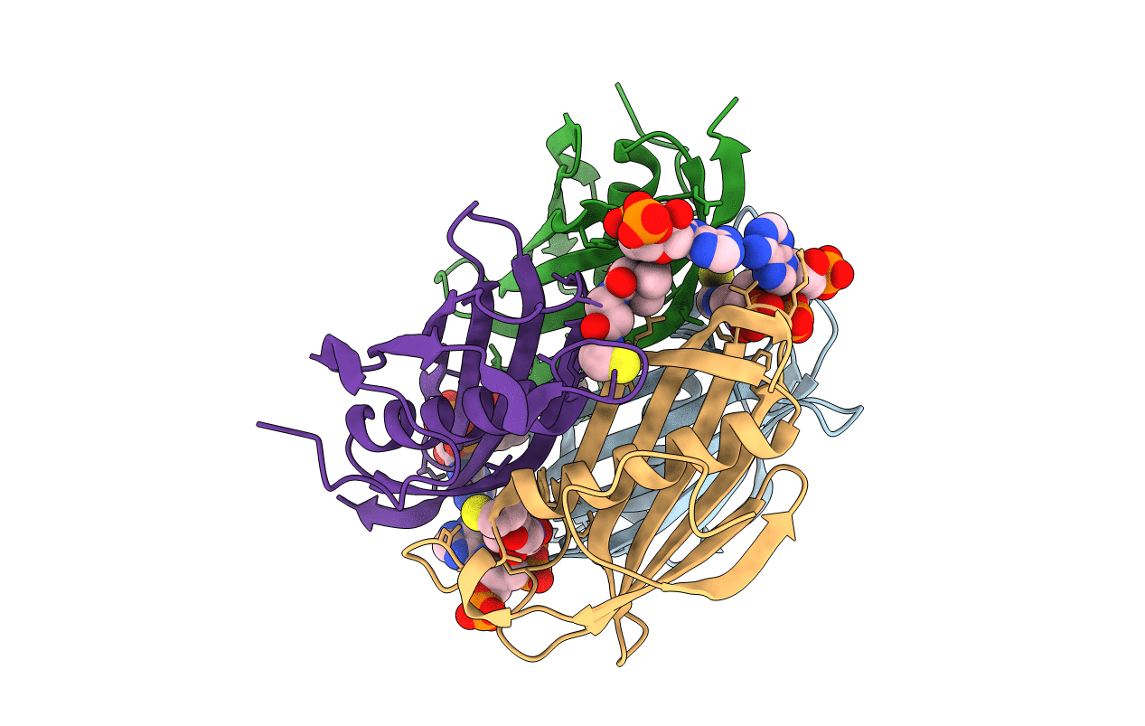 3LBE image