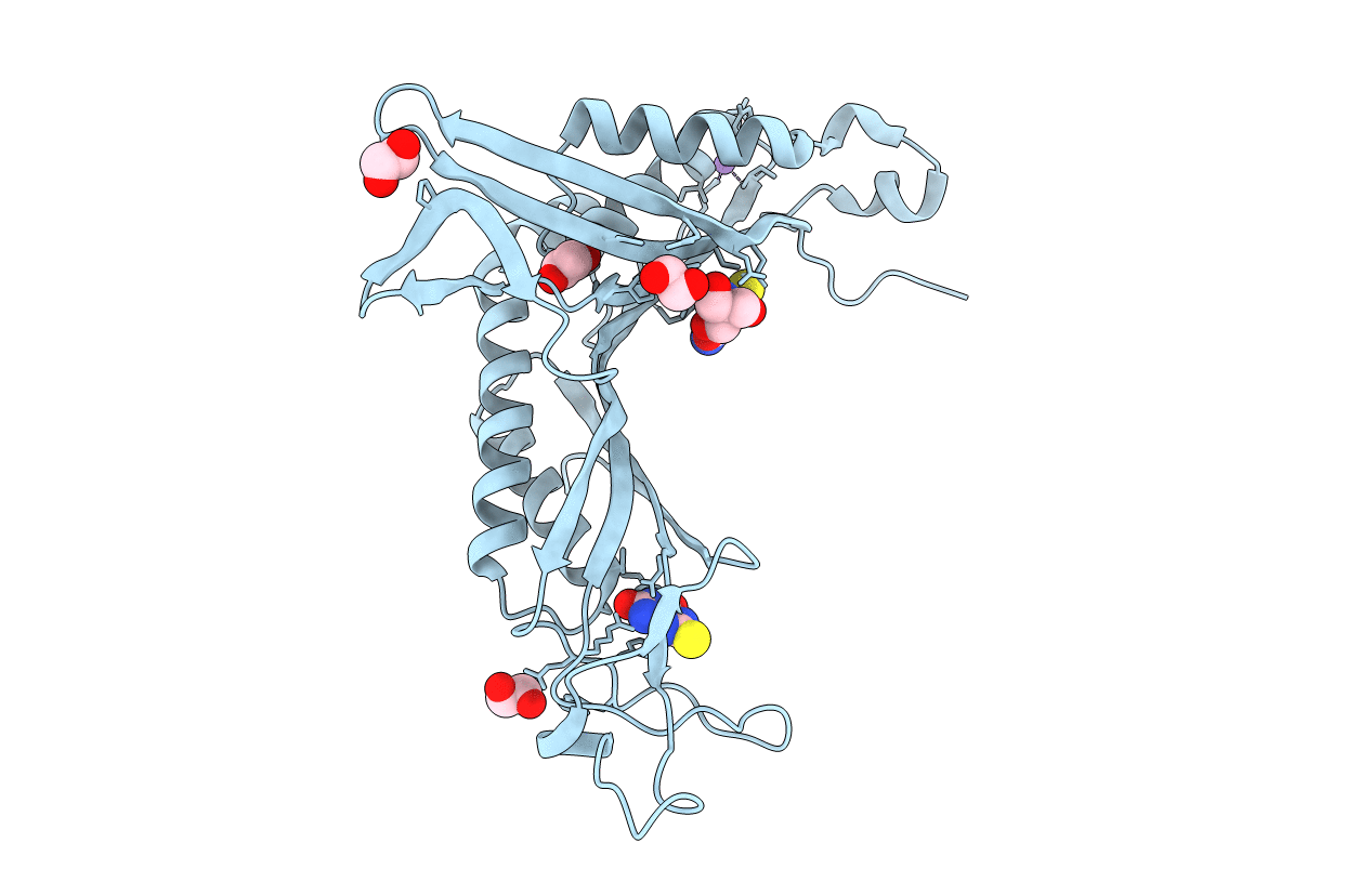 3LBG image