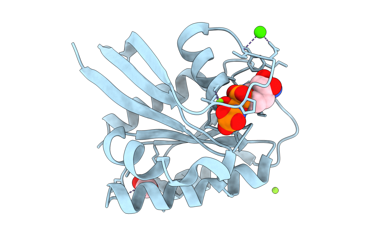 3LBH image