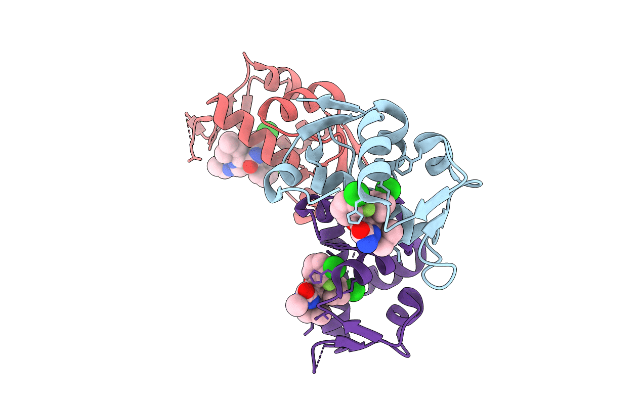 3LBL image