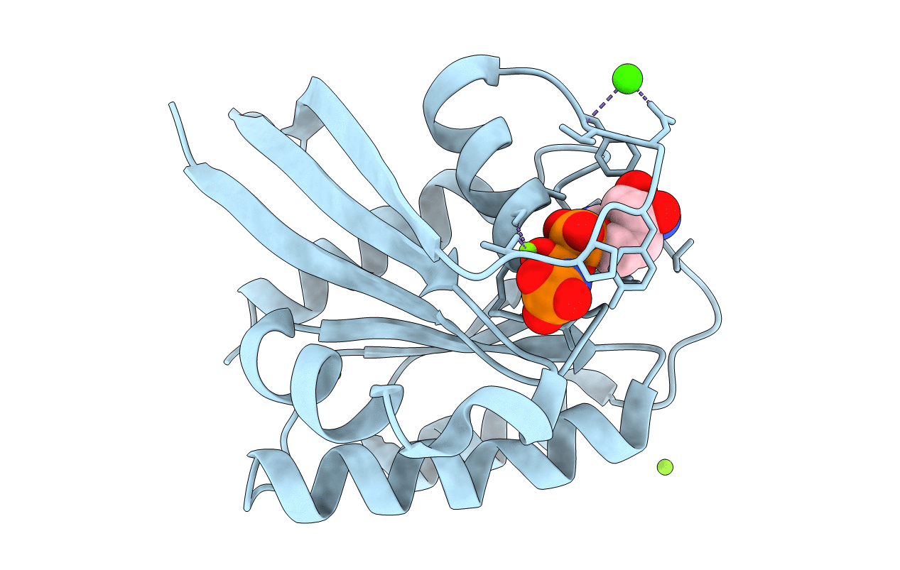 3LBN image