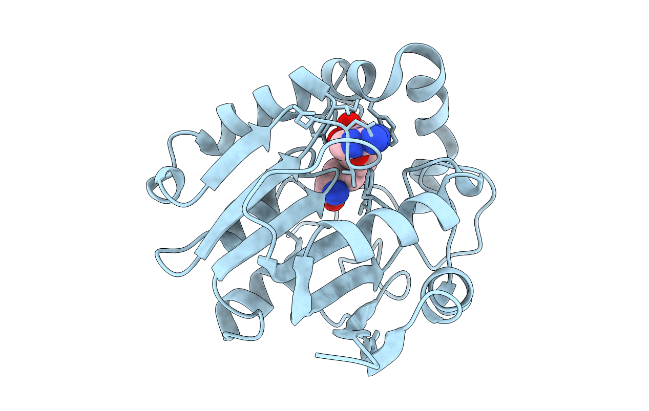 3LCC image