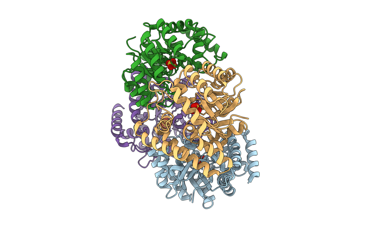 3LCH image