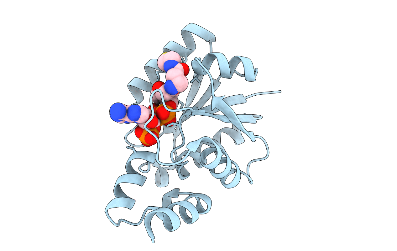 3LCJ image