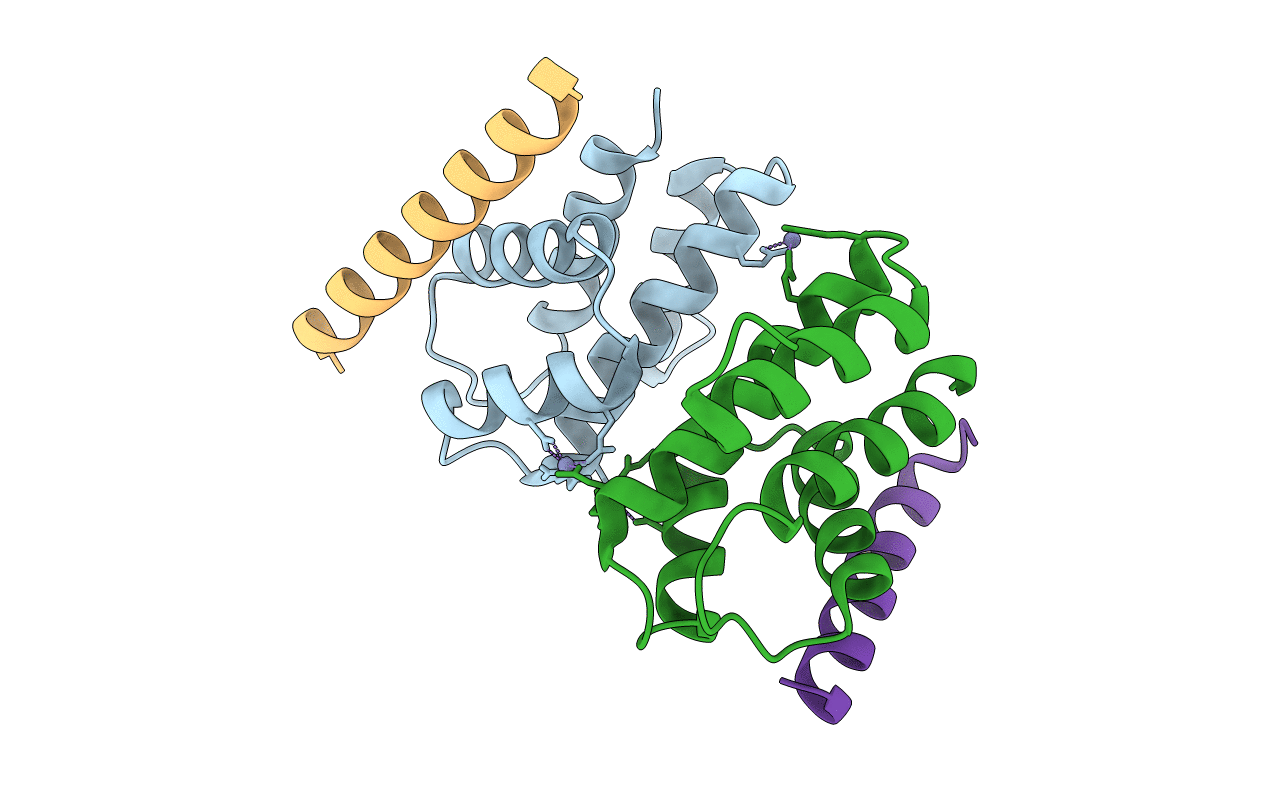 3LCN image