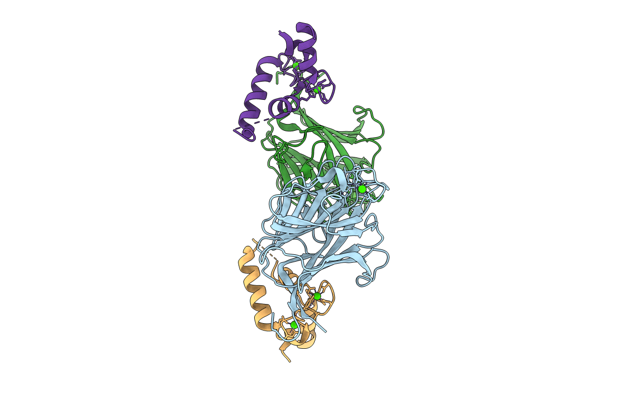 3LCP image