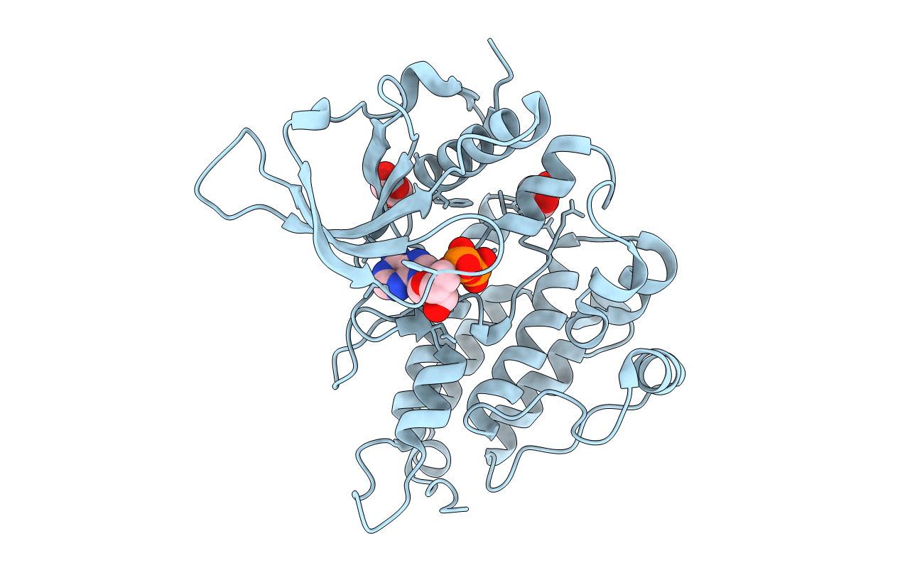 3LCT image