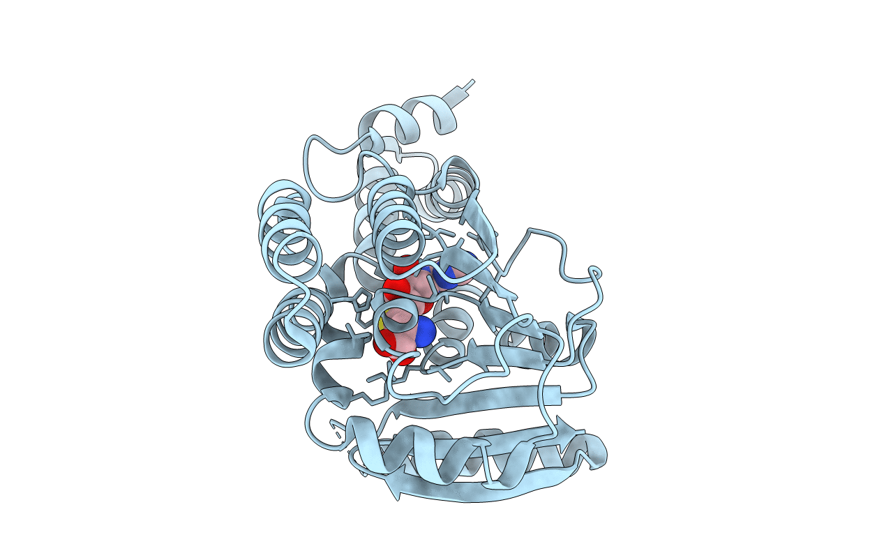3LCV image