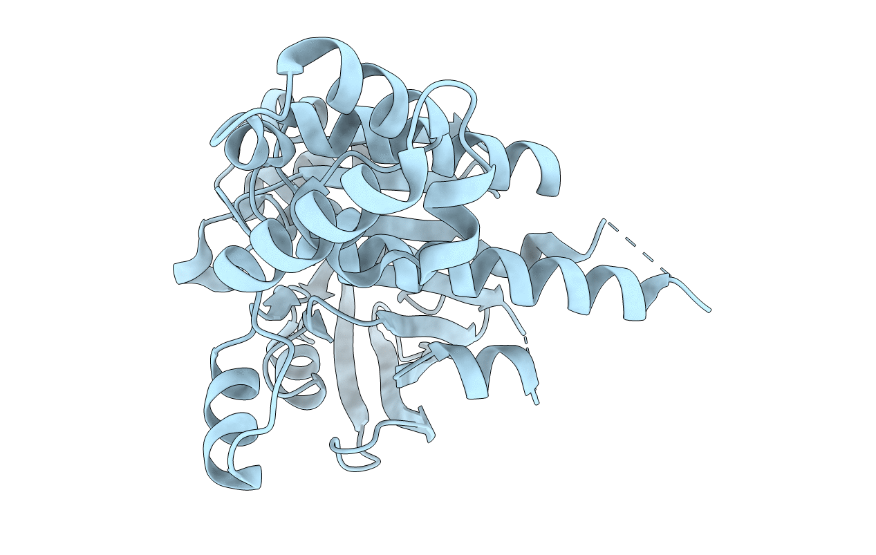 3LDA image