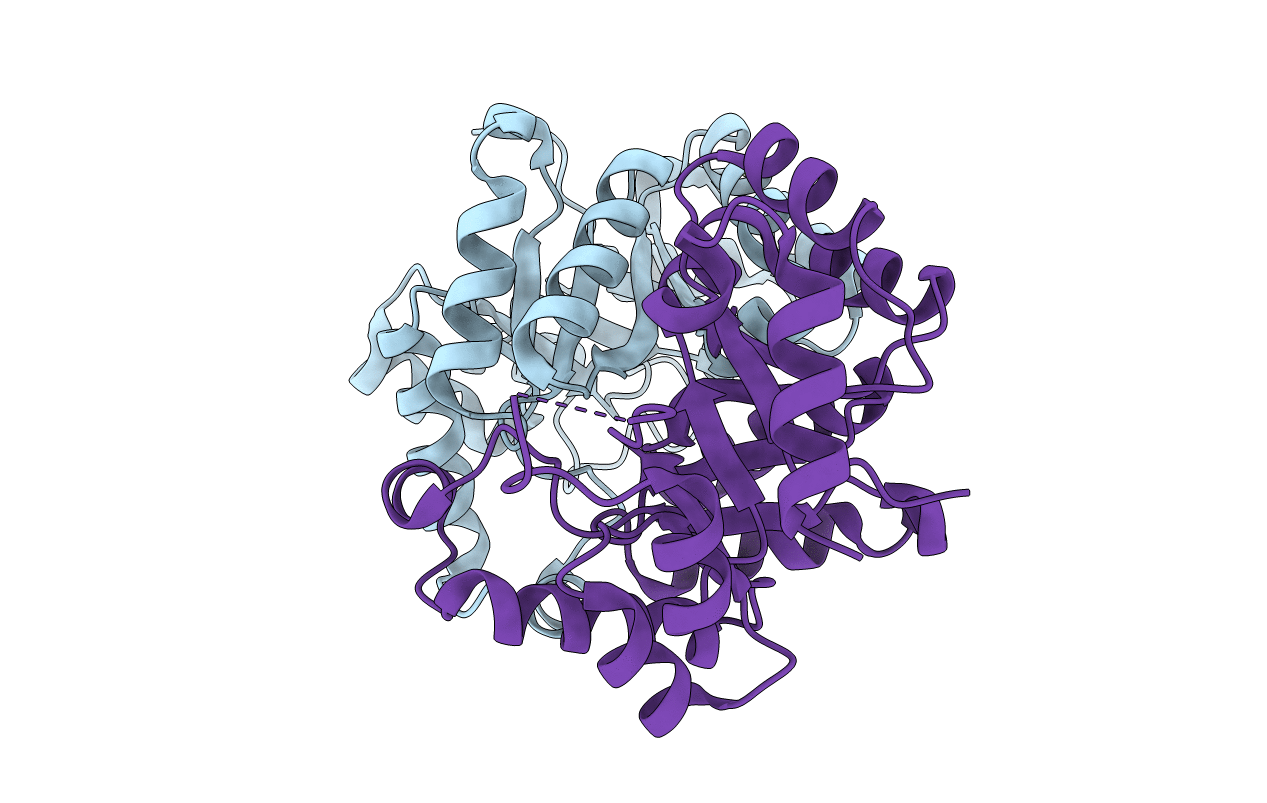 3LDV image