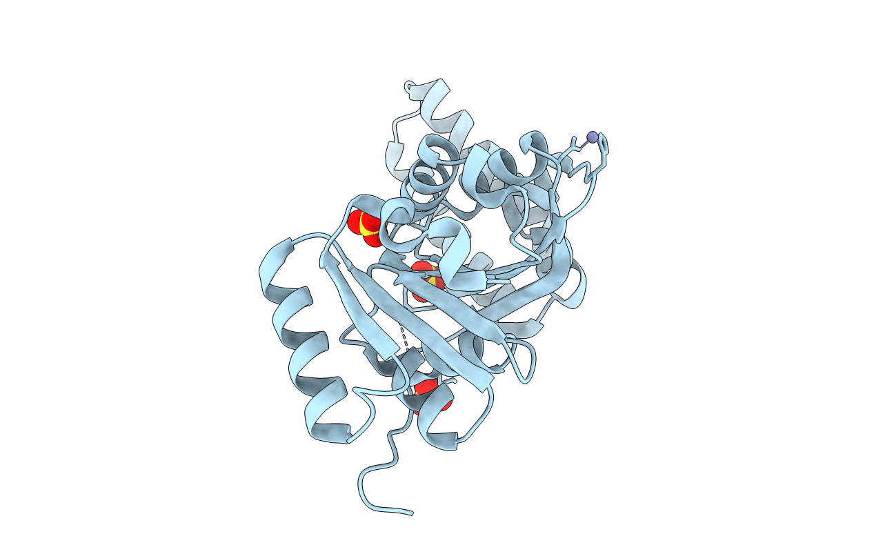 3LEC image