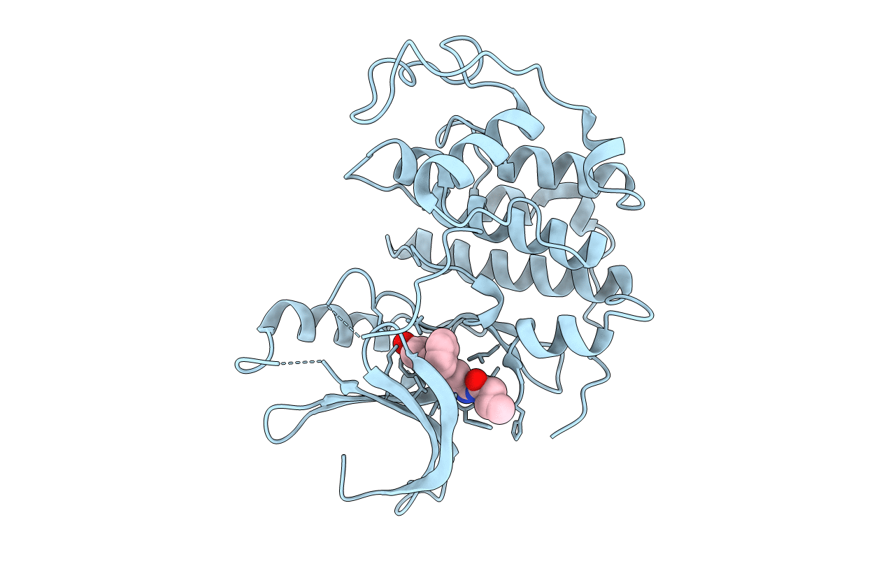 3LFN image
