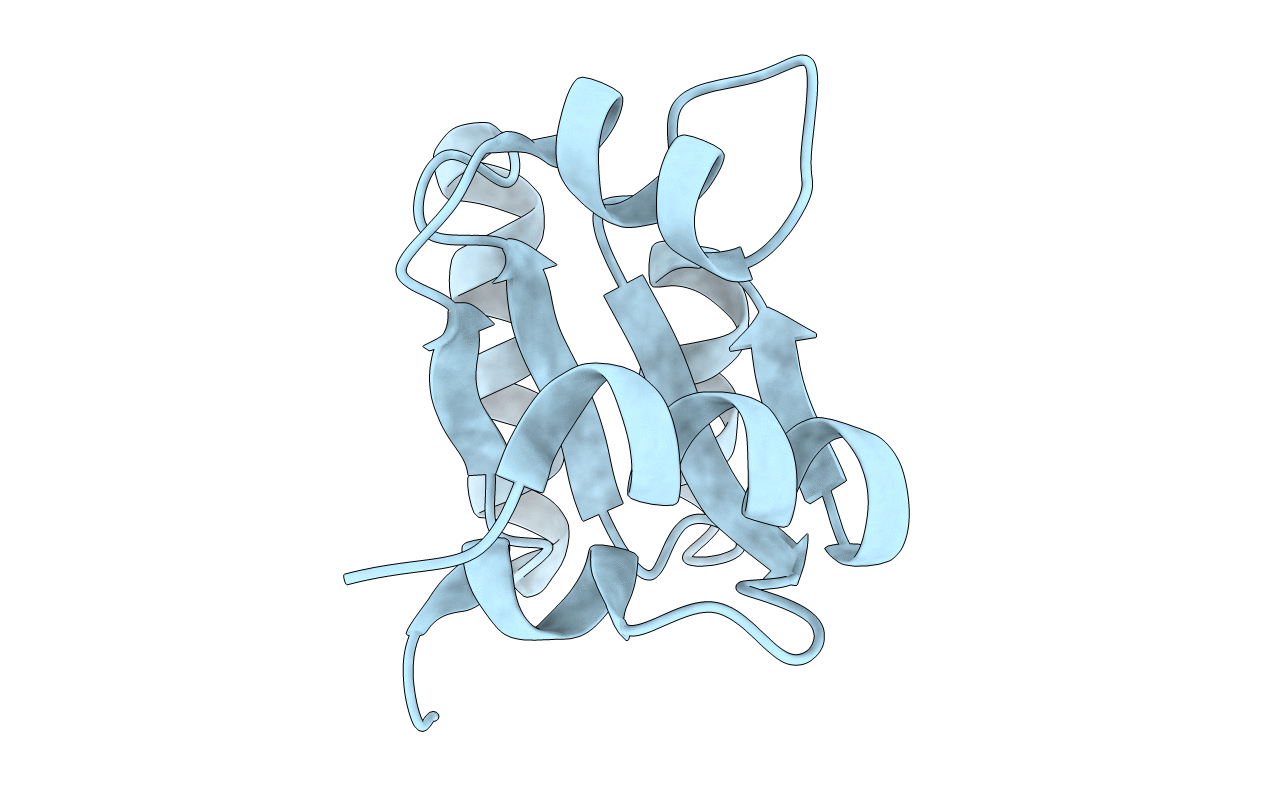 3LFO image