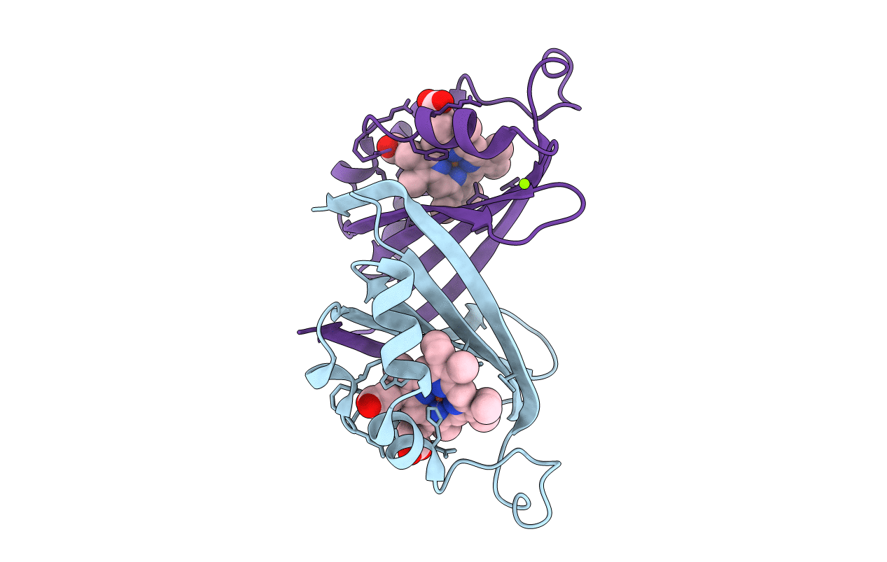 3LGM image