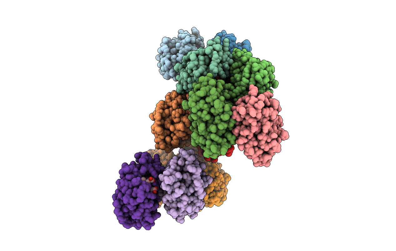 3LHB image