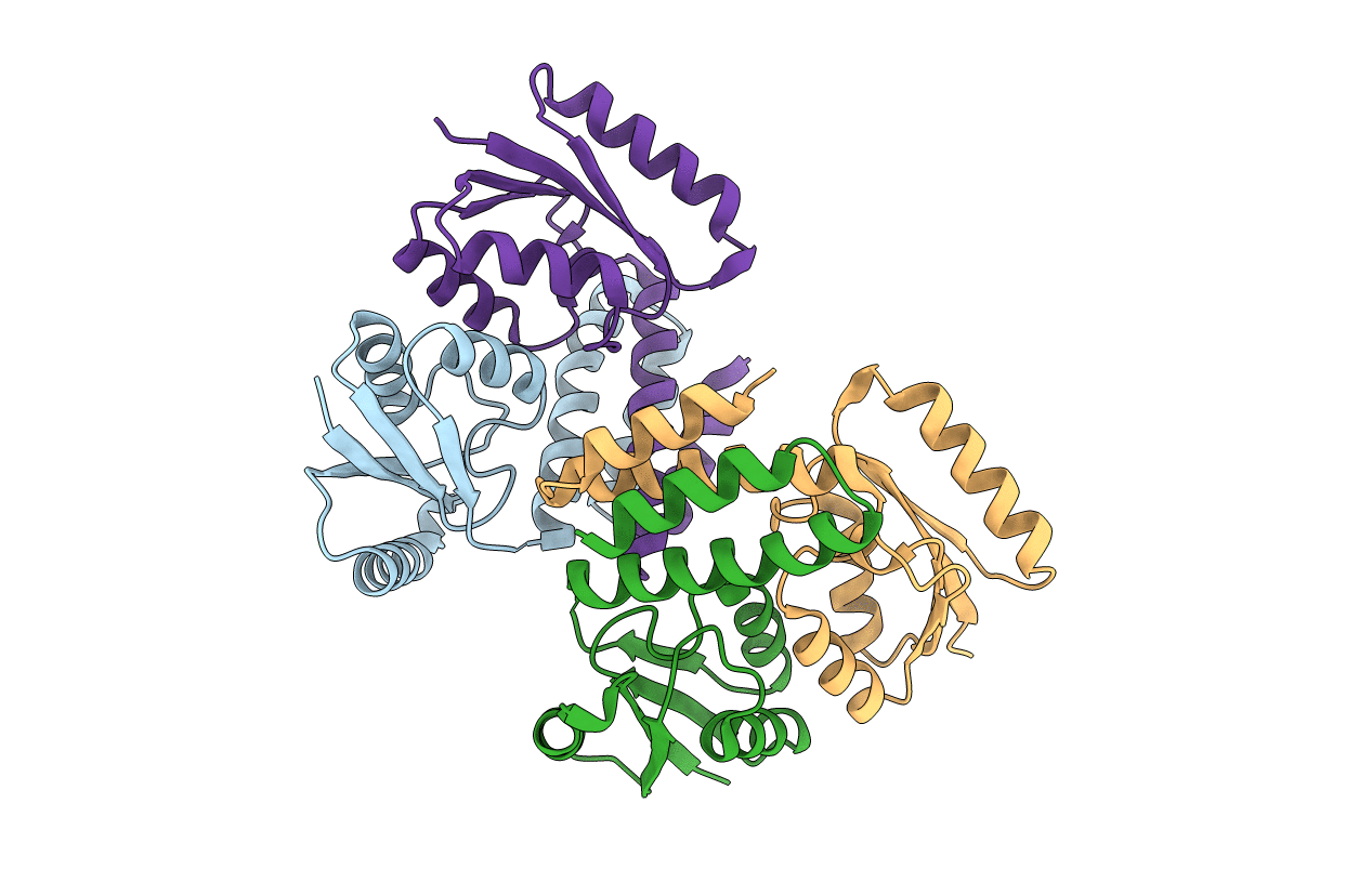 3LHF image