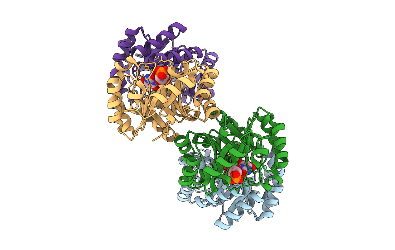 3LHV image