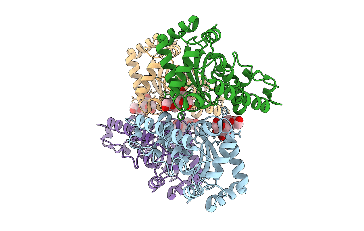 3LJF image