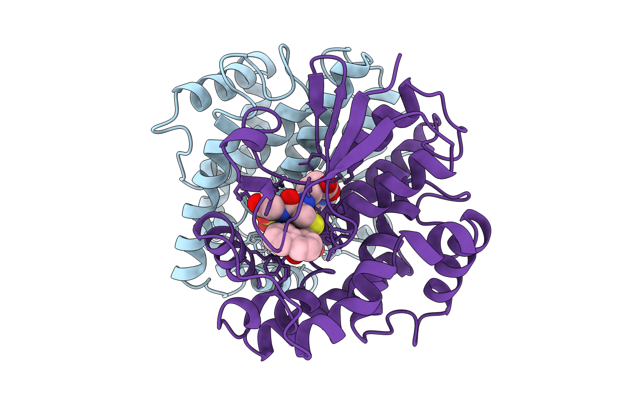 3LJR image