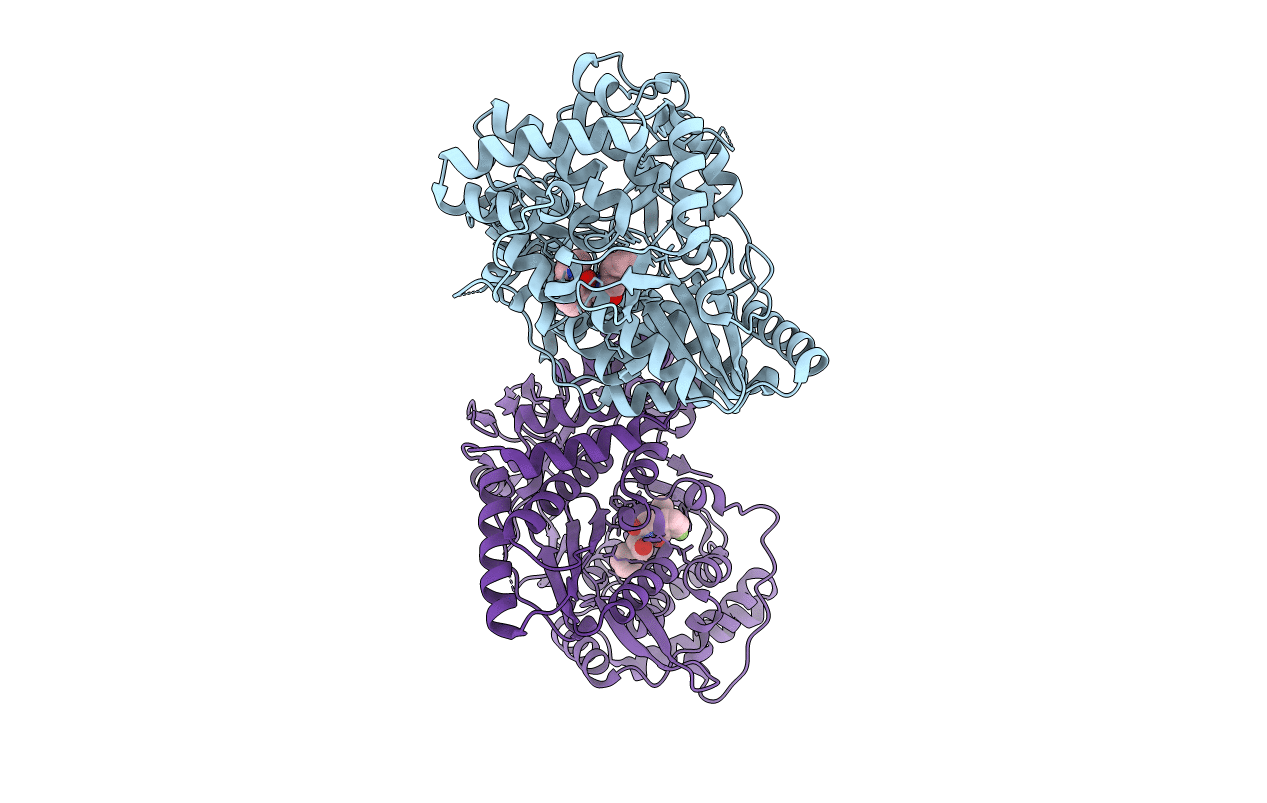 3LKH image