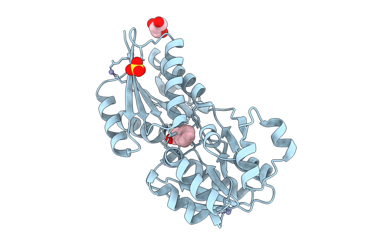 3LKV image