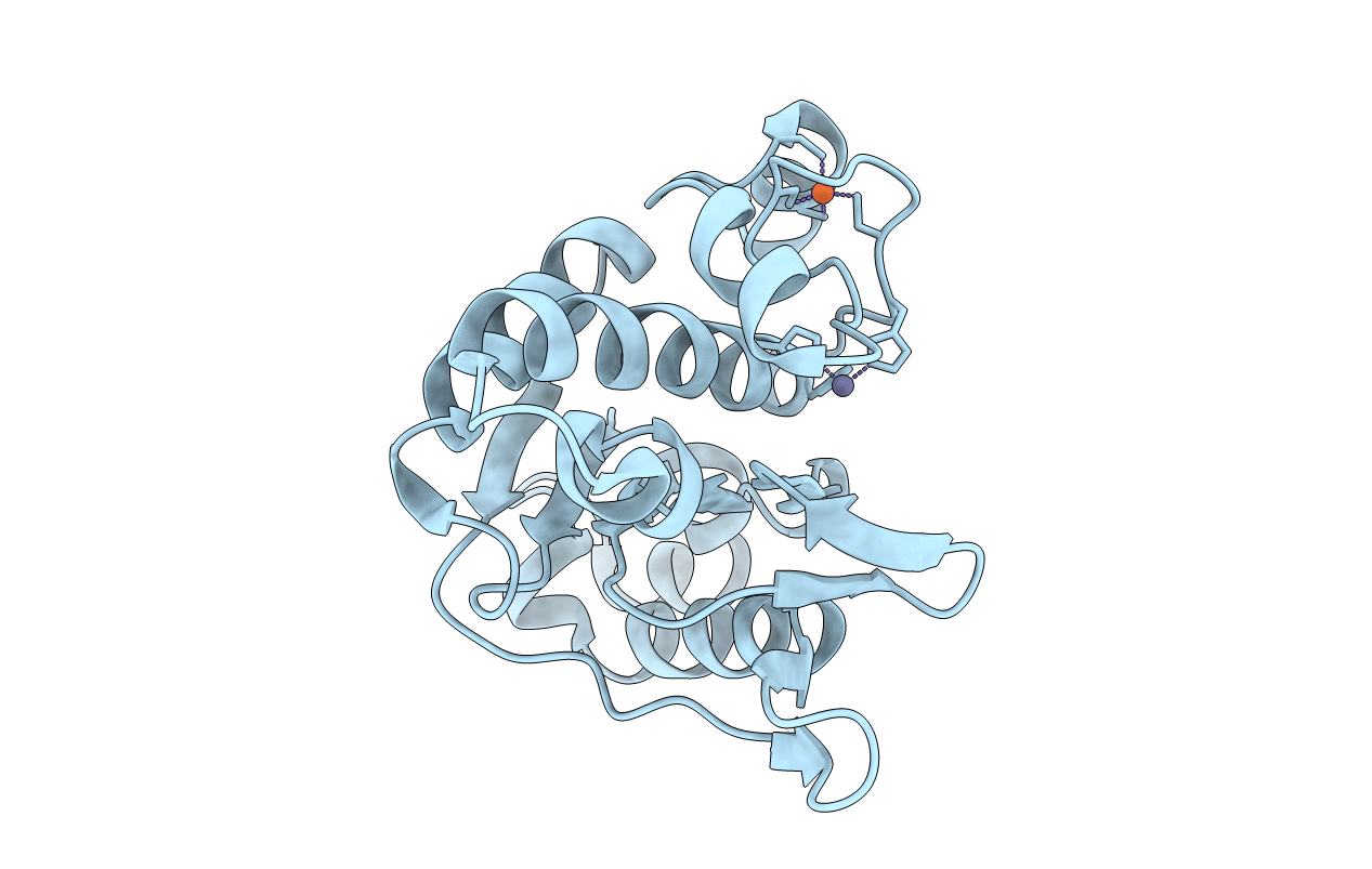 3LMC image