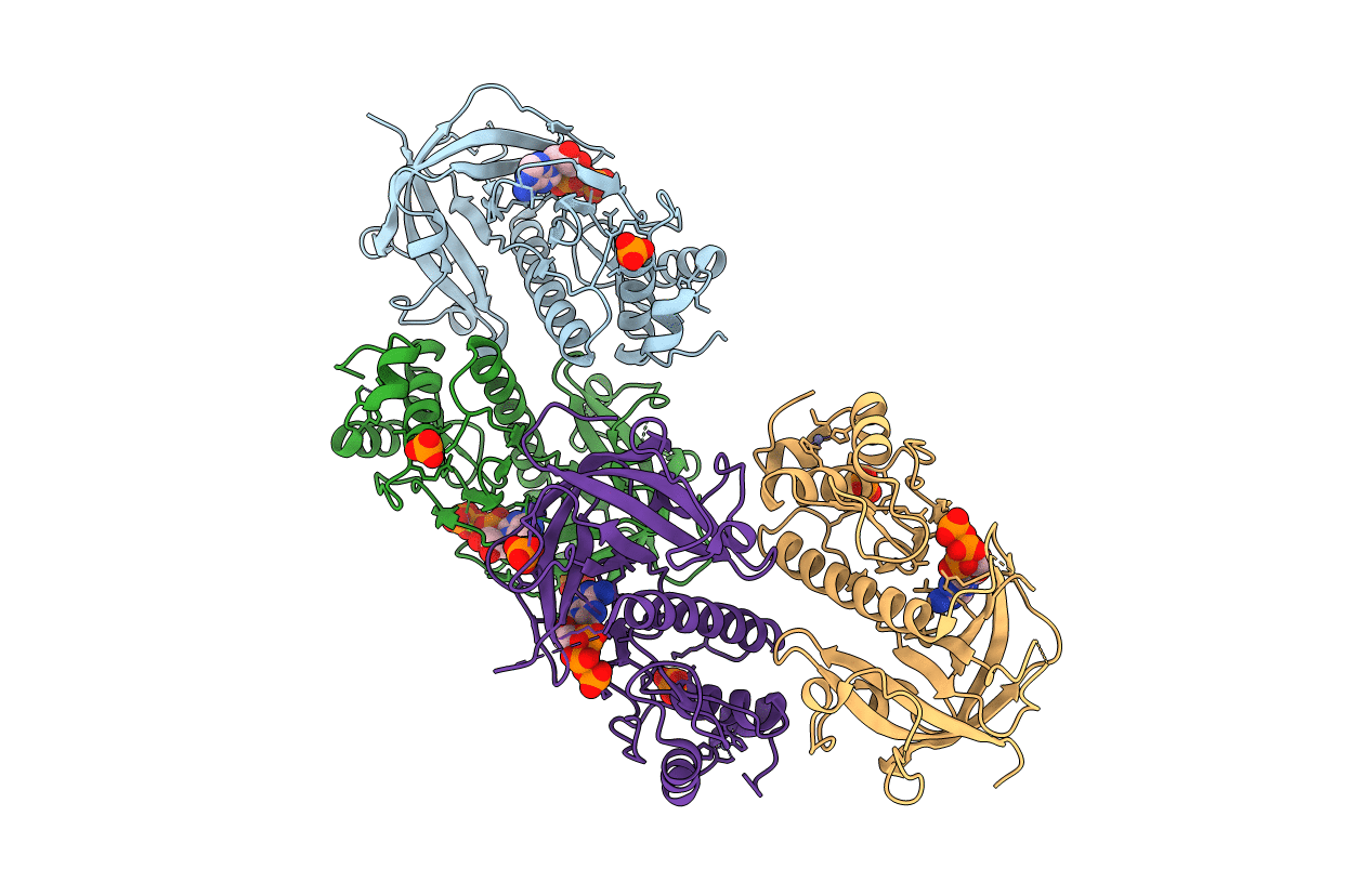 3LMI image