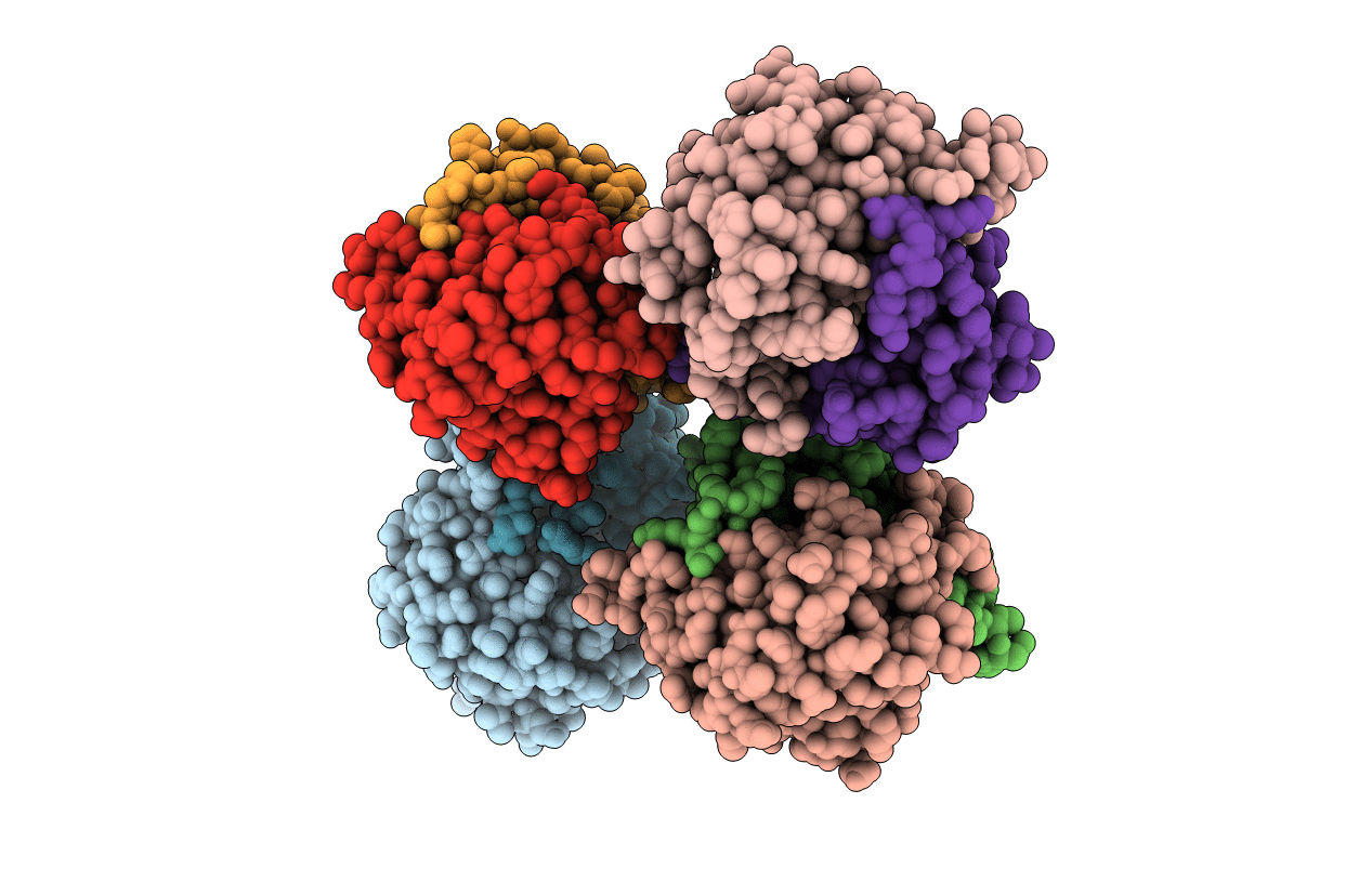 3LMU image