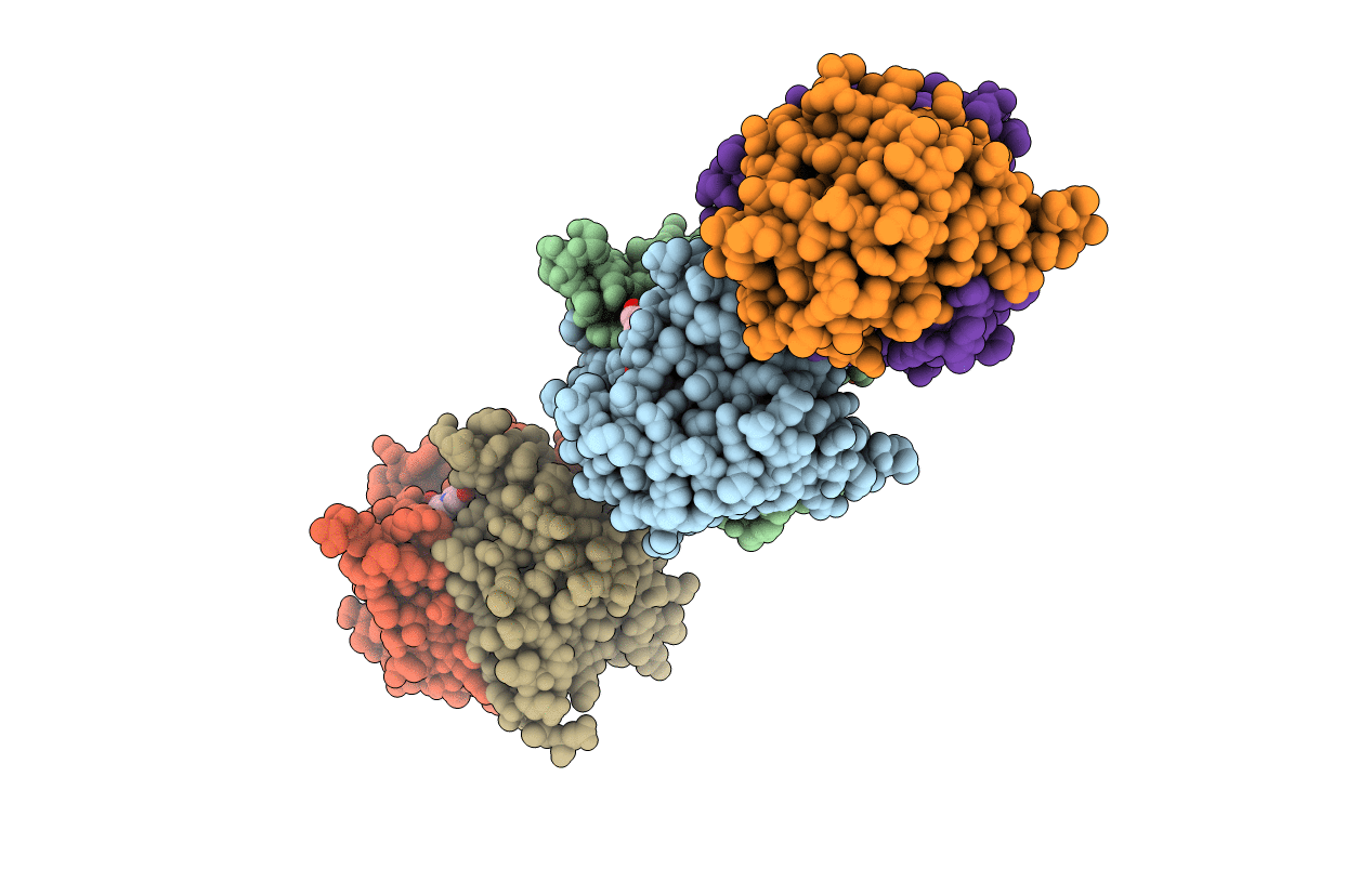 3LMV image