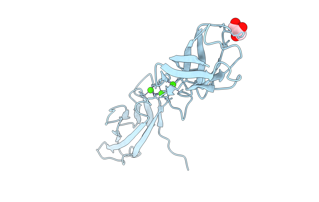 3LNE image