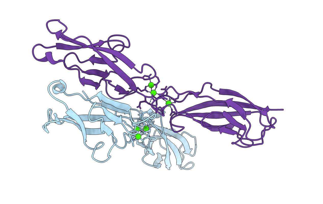3LNH image