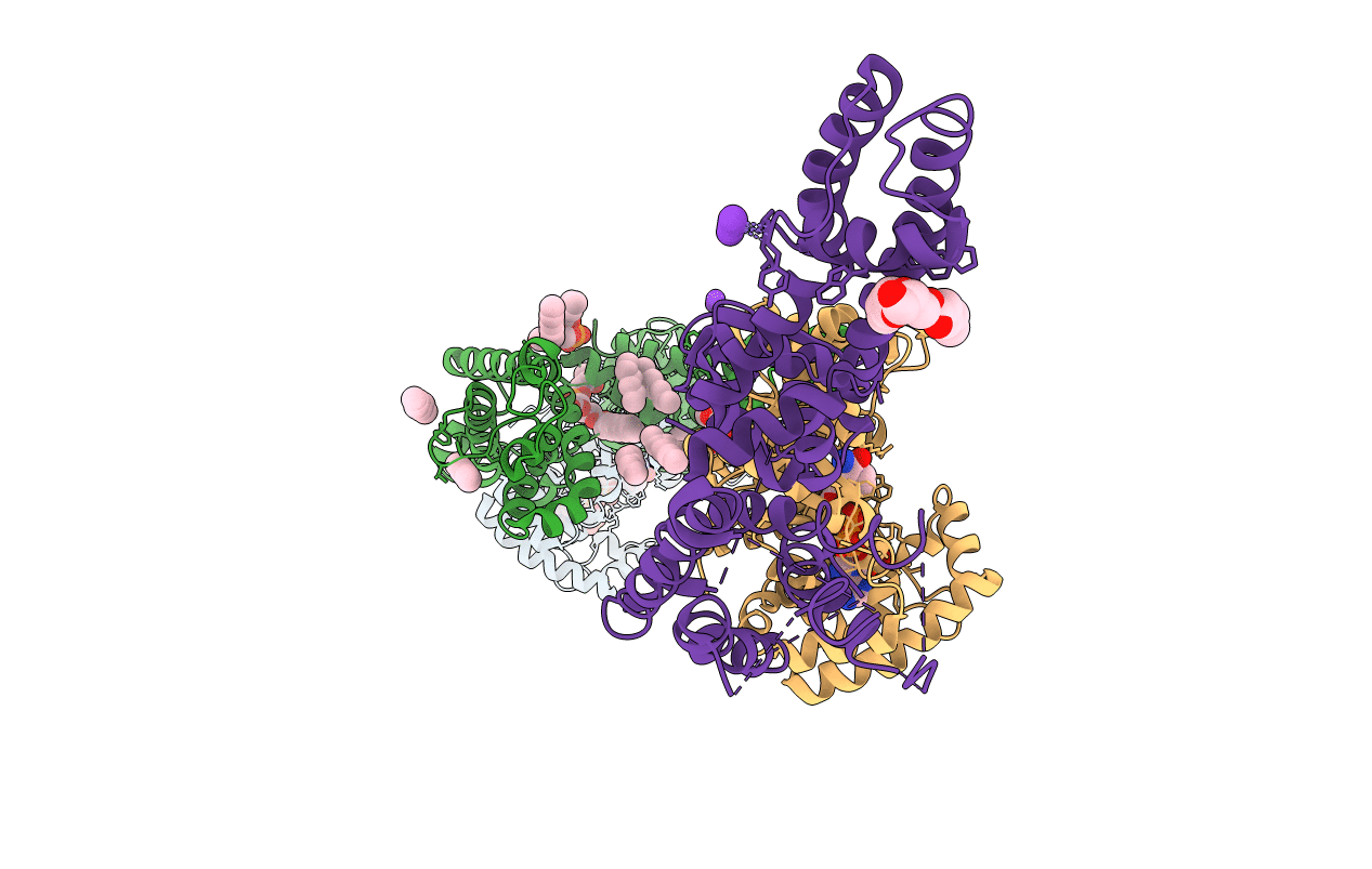 3LNM image
