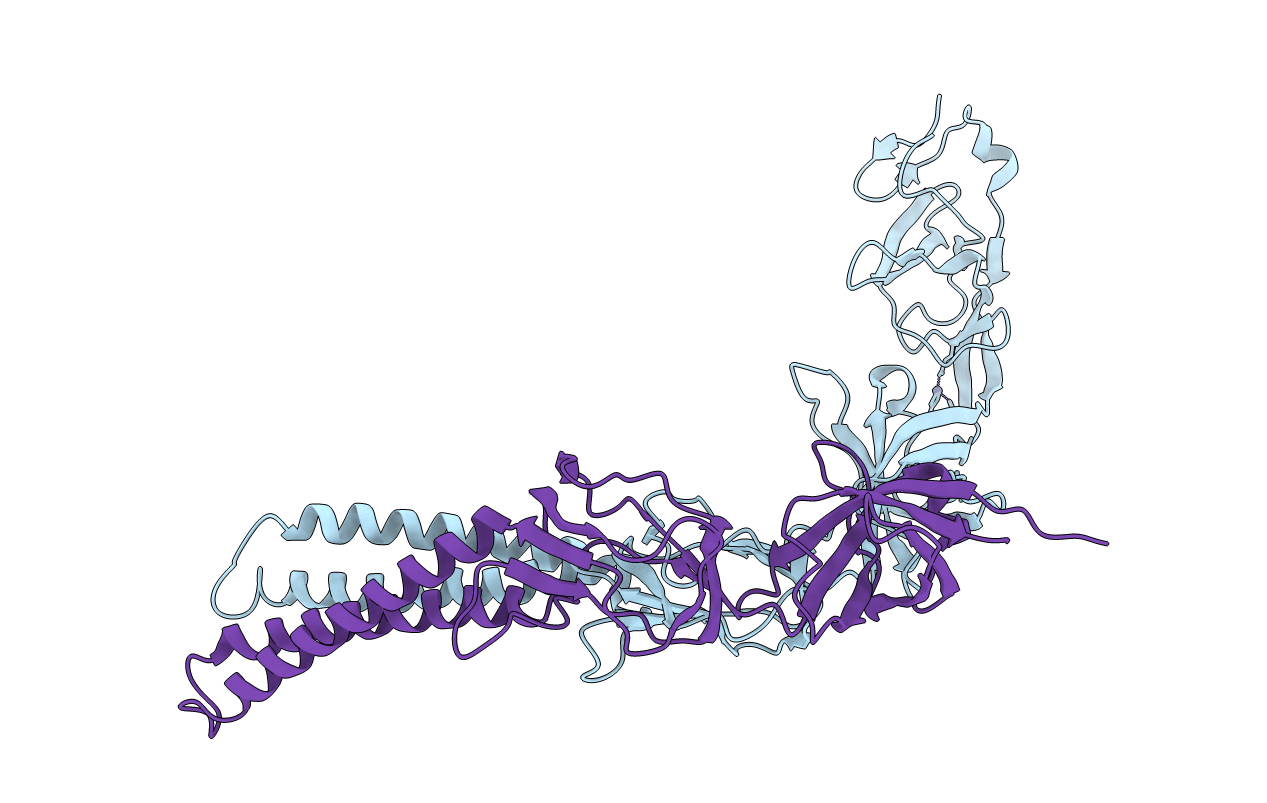 3LNN image
