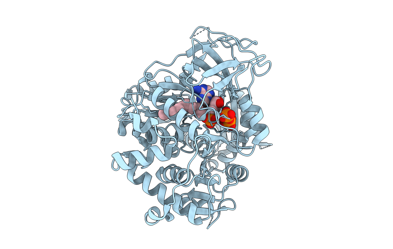 3LNV image