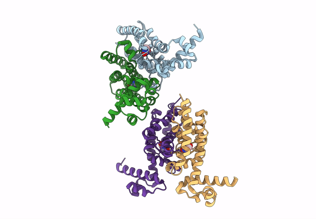 3LOC image
