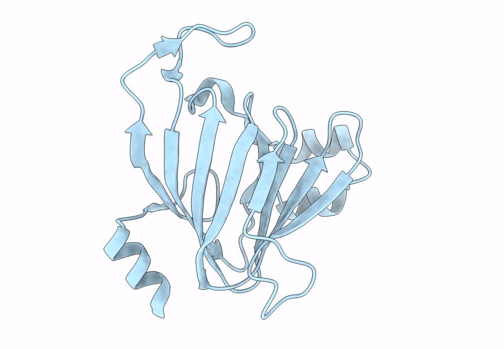 3LOI image