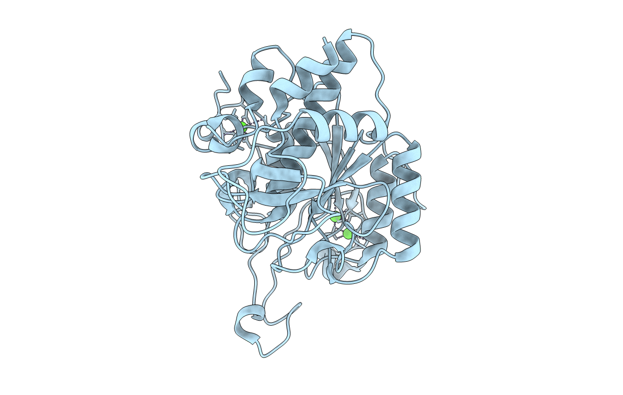 3LPD image
