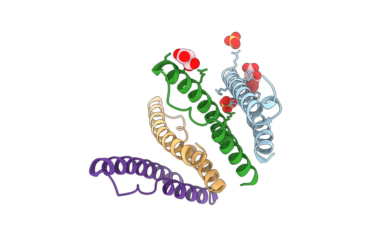 3LPH image