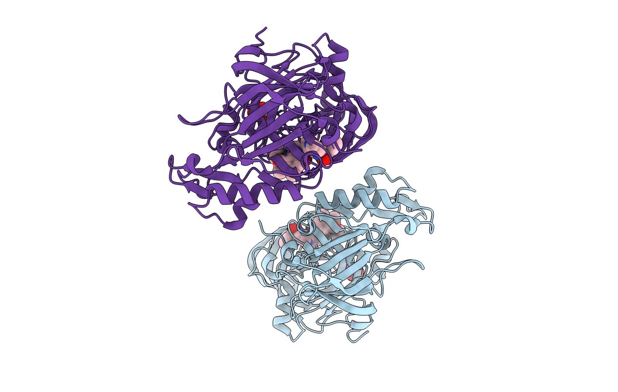 3LPI image