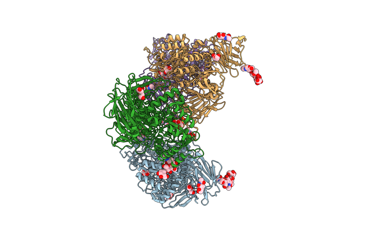 3LPP image