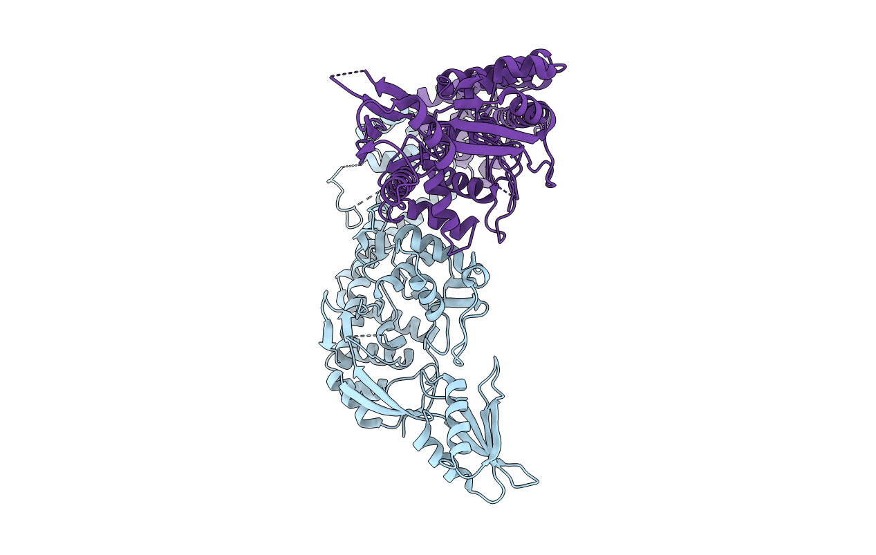 3LPX image